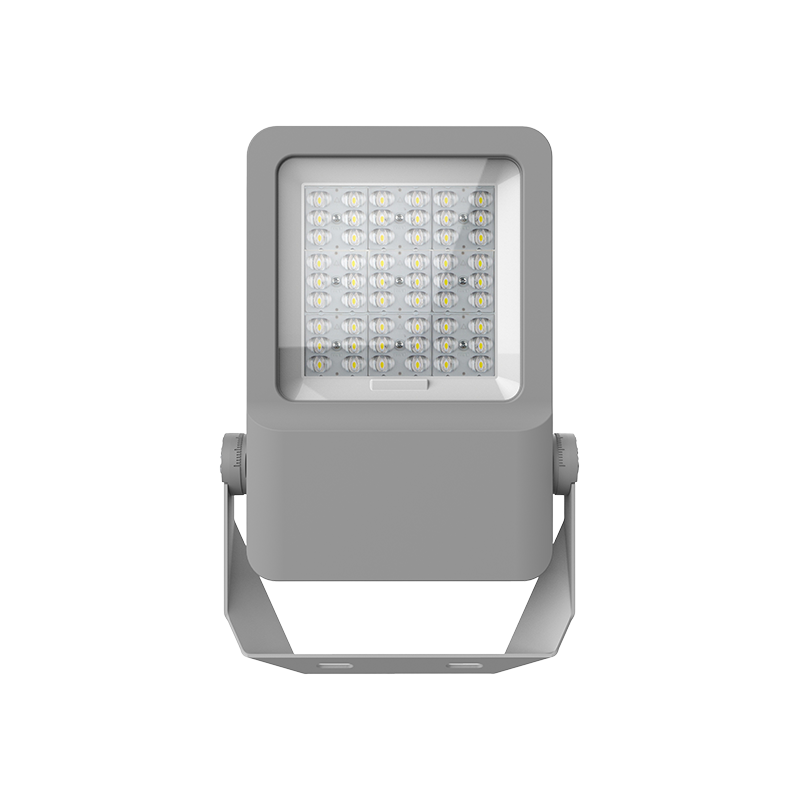 F01-100 Waterdichte LED-schijnwerper voor buiten